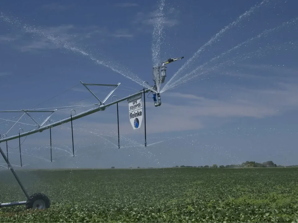 Reinke Pivots