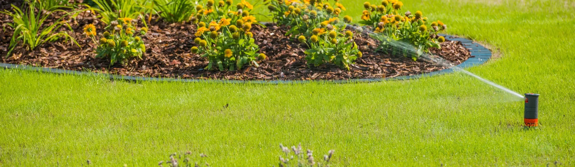 Residential & Commercial Irrigation