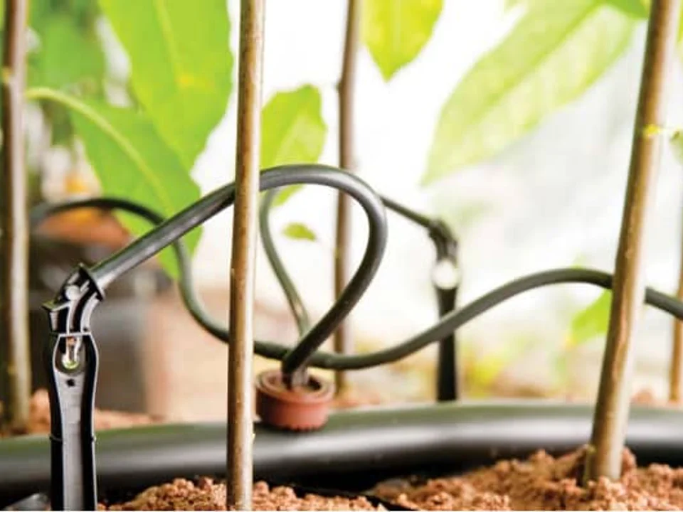 Drip and Micro Irrigation