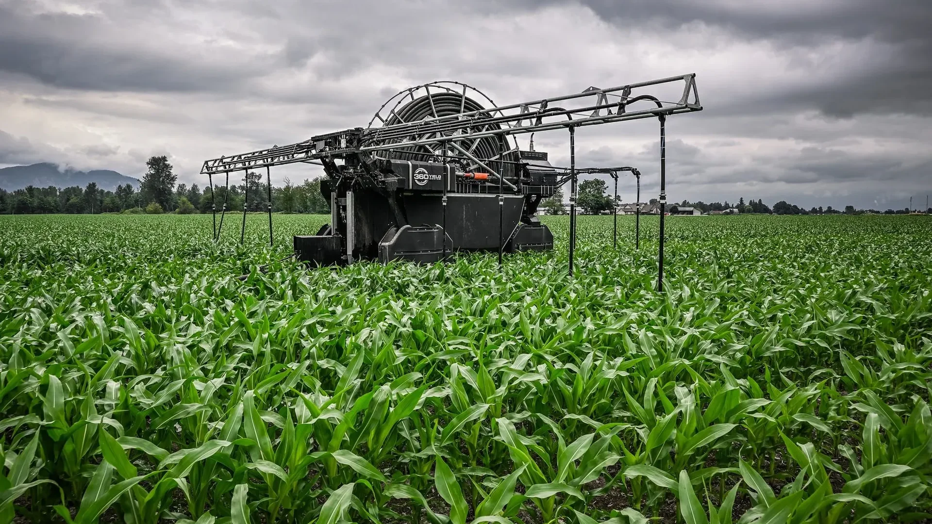 Autonomous Irrigation