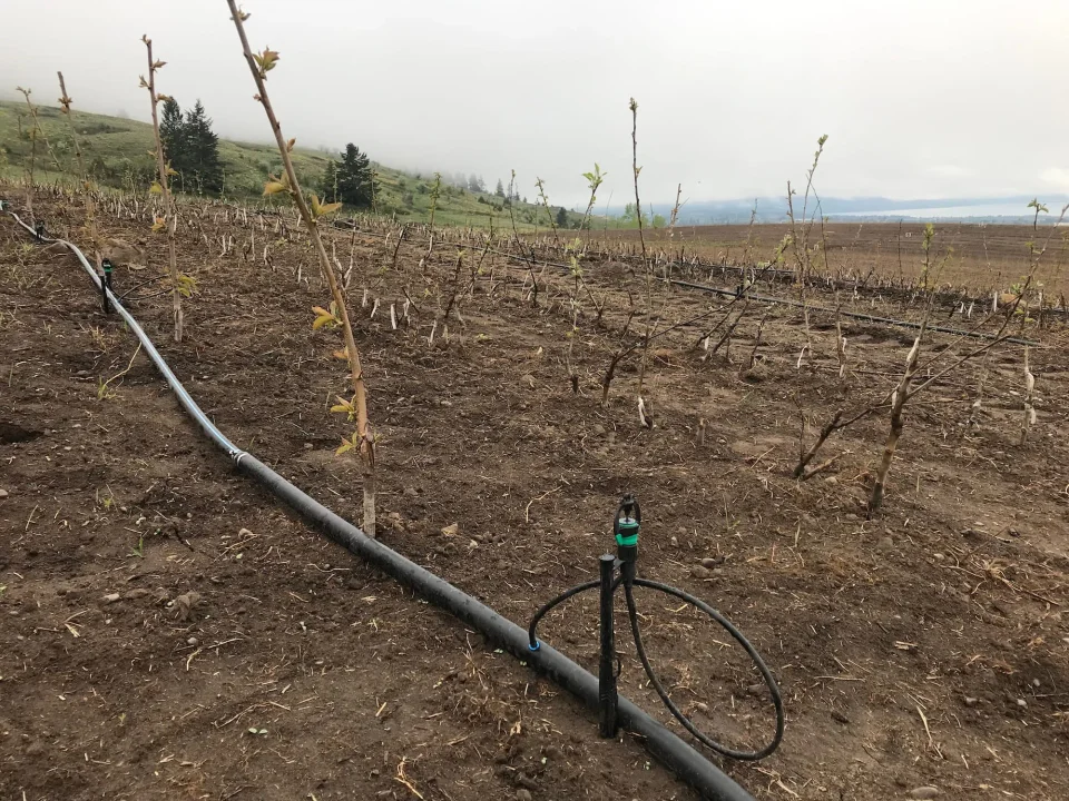 Microsprinklers and Microspray