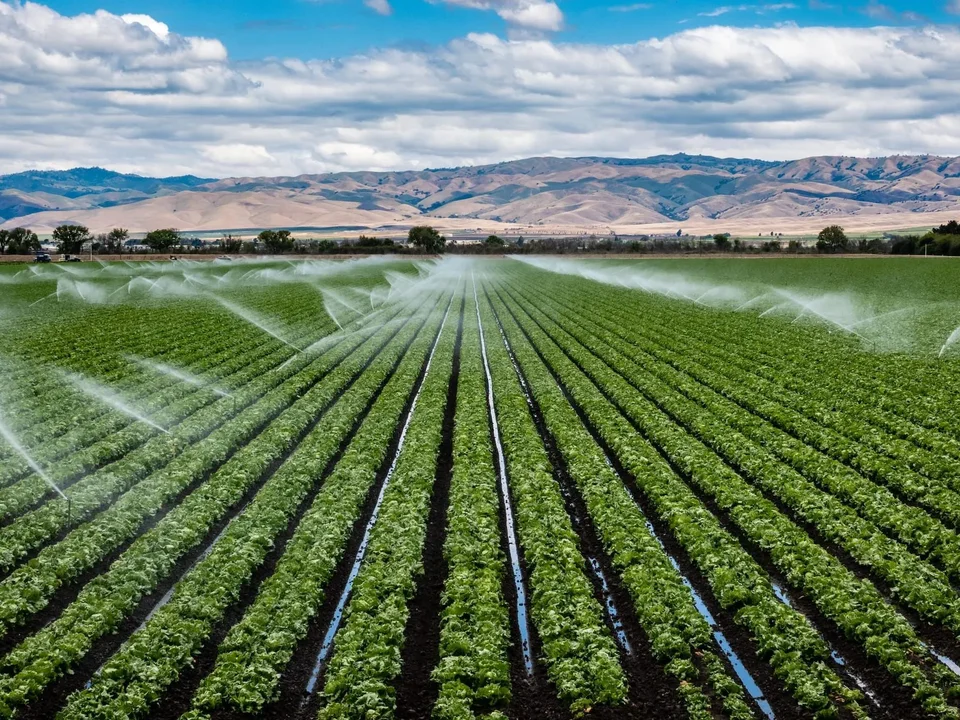 Sprinklers